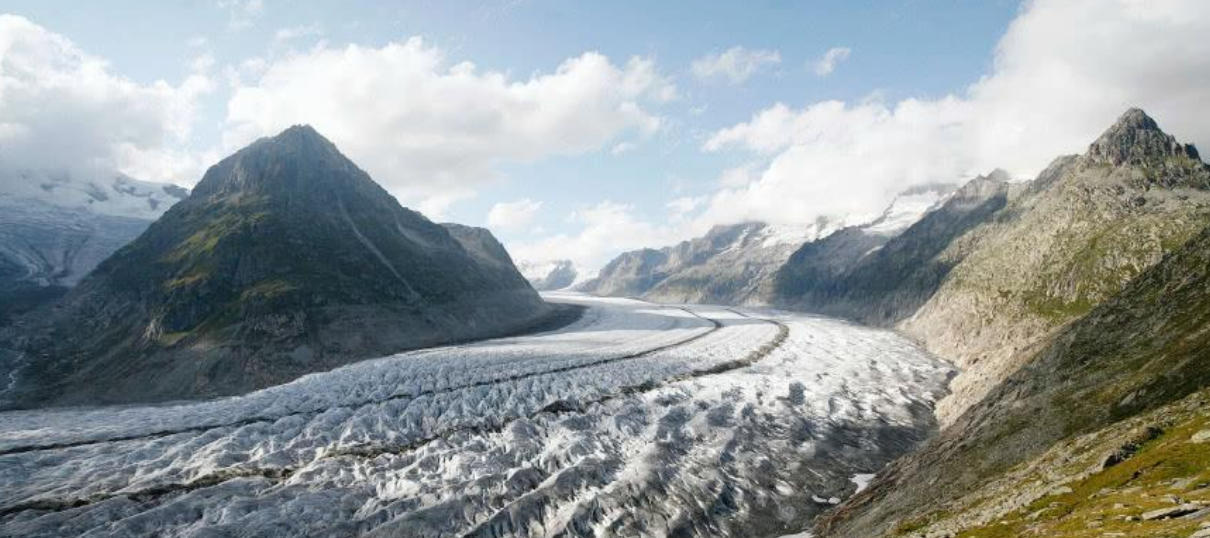 授人以柄是指什么准确生肖,精选词语解释释义
