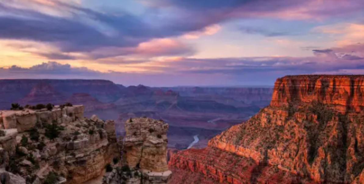 作作有芒是指什么生肖，生肖文化释义答案