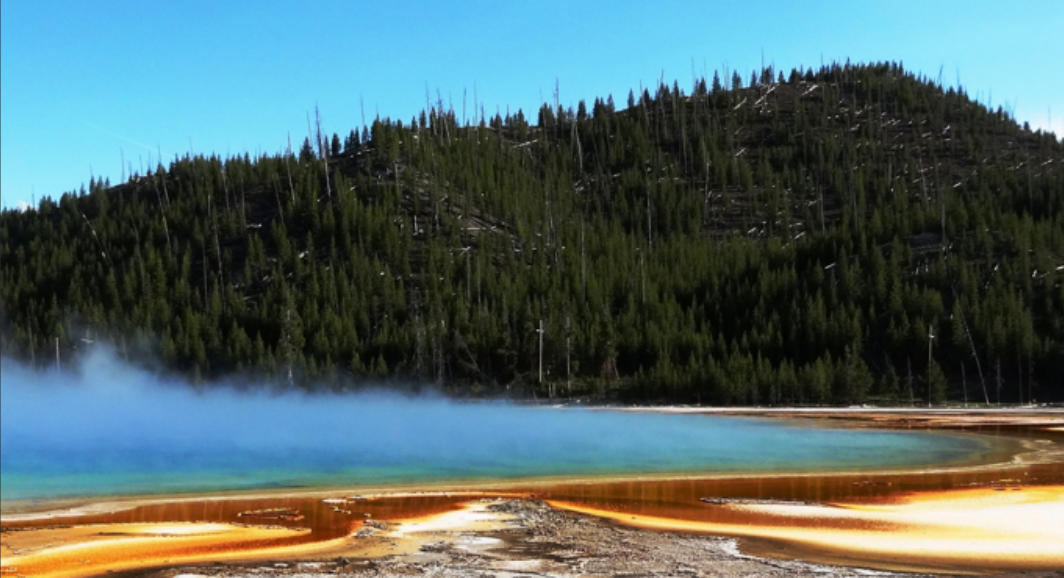 想见四五除九码，三一沉默七欢欣猜指一个最佳经典生肖，精选最佳成语解释释