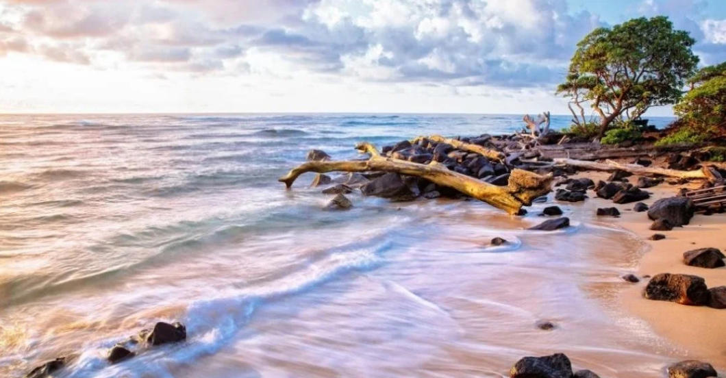 休错比当年谢安，乡老盘庚犯五瓯代表是指什么精准生肖,释义最佳详析解释!