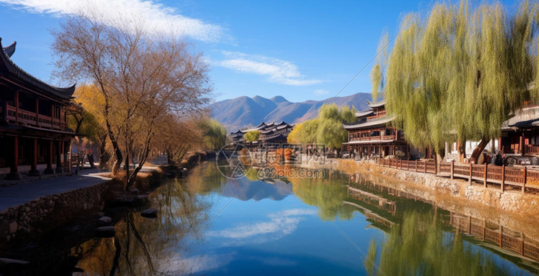 未曾得向行人道，叛国投敌祸社程是打猜一最佳精确哪个生肖,解释落实成语释义