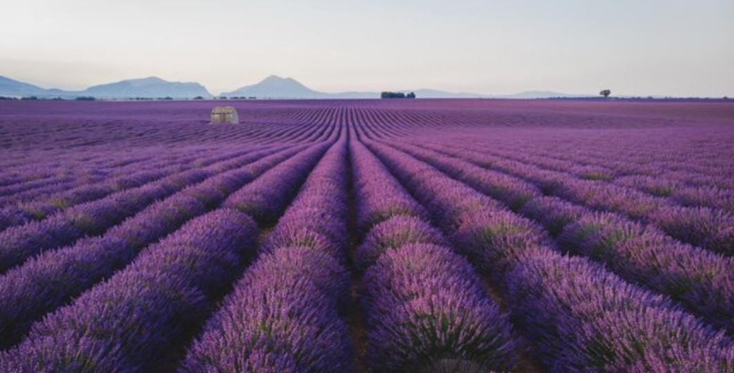 迷茫人生,苦海孤身,随行遂队欲何为;人需伯乐,一展所长,他日自立作栋梁打一个最佳生肖成语解谜,精选释义谜团解释