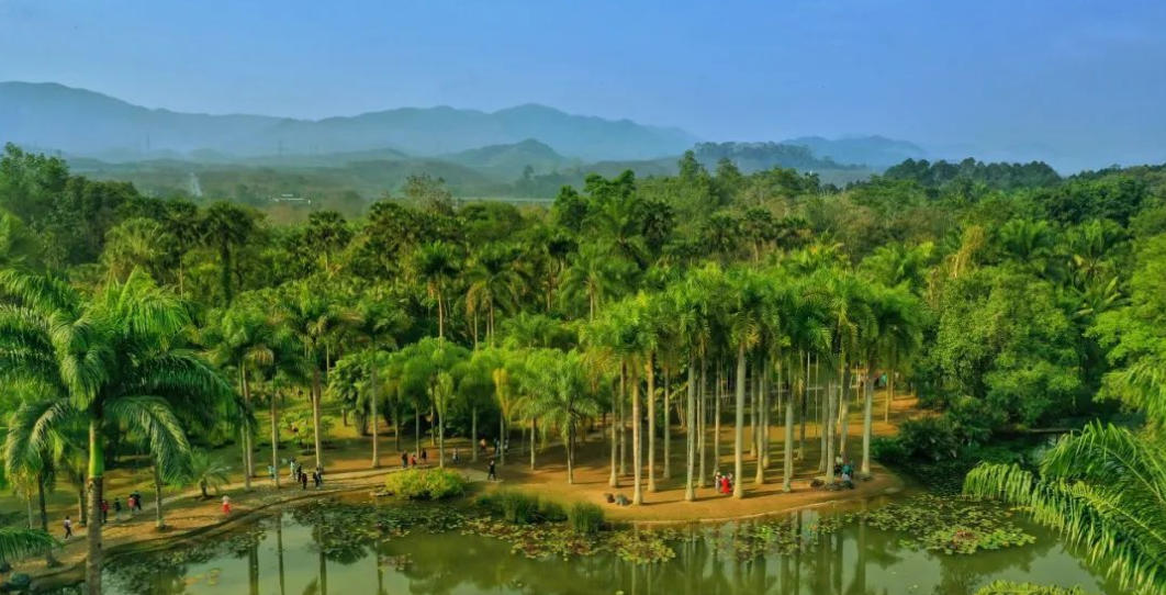 道人本期点灵码，二三合成五六码代表指什么准确生肖,最佳词语落实释义解释