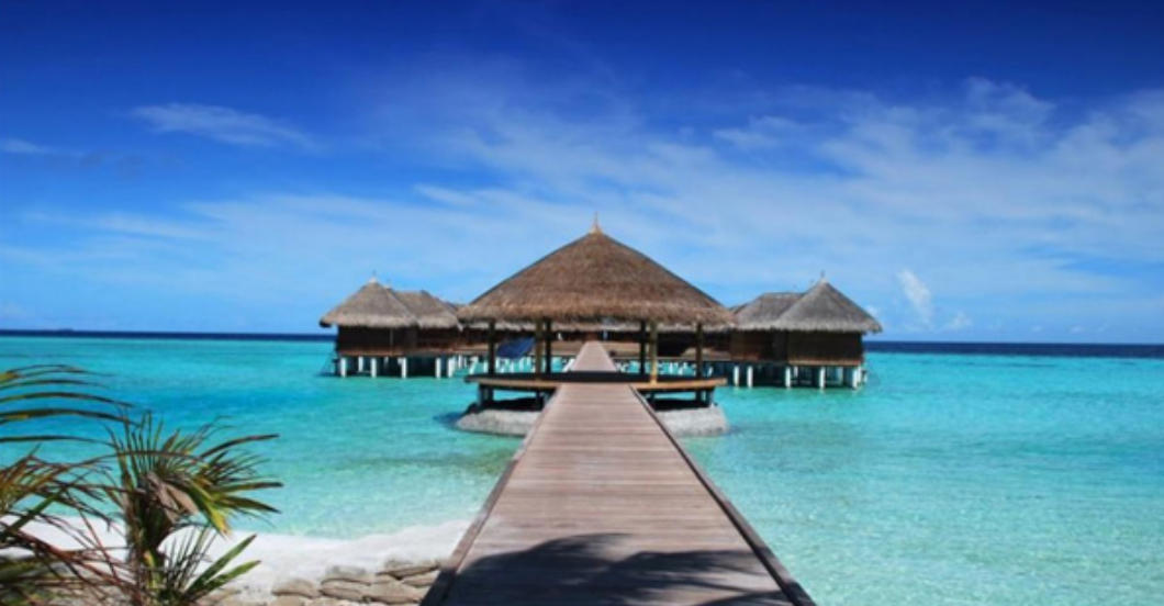 桑枢瓮牖打一最佳准确生肖数字动物,解释落实成语释义