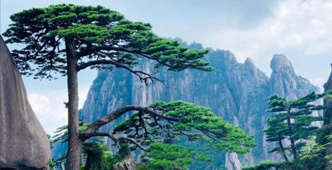 海女长短裤女，大众情人，又是老婆是指代表什么生肖，精准快答揭晓落实