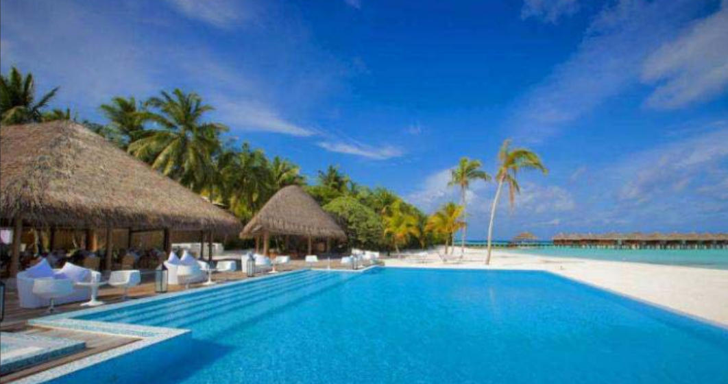 自由自在，大梦一场。雾浓烟重遥山暗指一个最佳准确生肖精选释义谜团解释