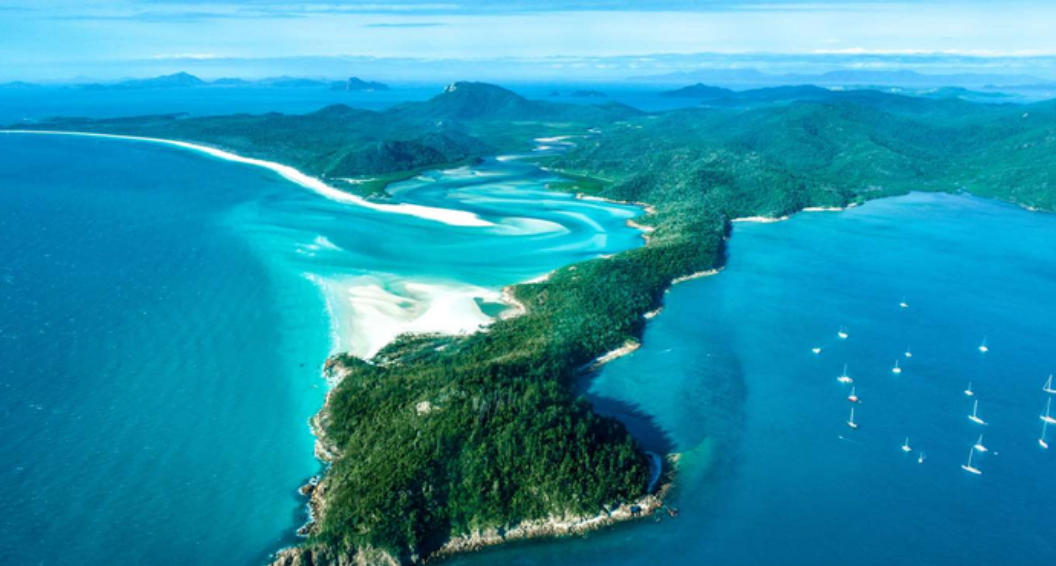 开山之祖代表打一最佳什么准确生肖,正确词语解析