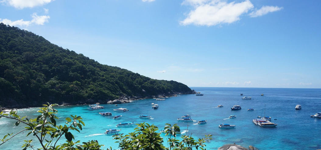 一统江山万载春,呼风唤雨得天下指什么最佳正确生肖，准确落实释义解释答案