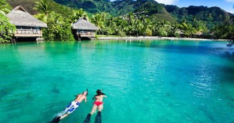 近来桃李半烧枯，留得余生又若何是 指代表最佳什么生肖 打一精准准确最佳正确释义