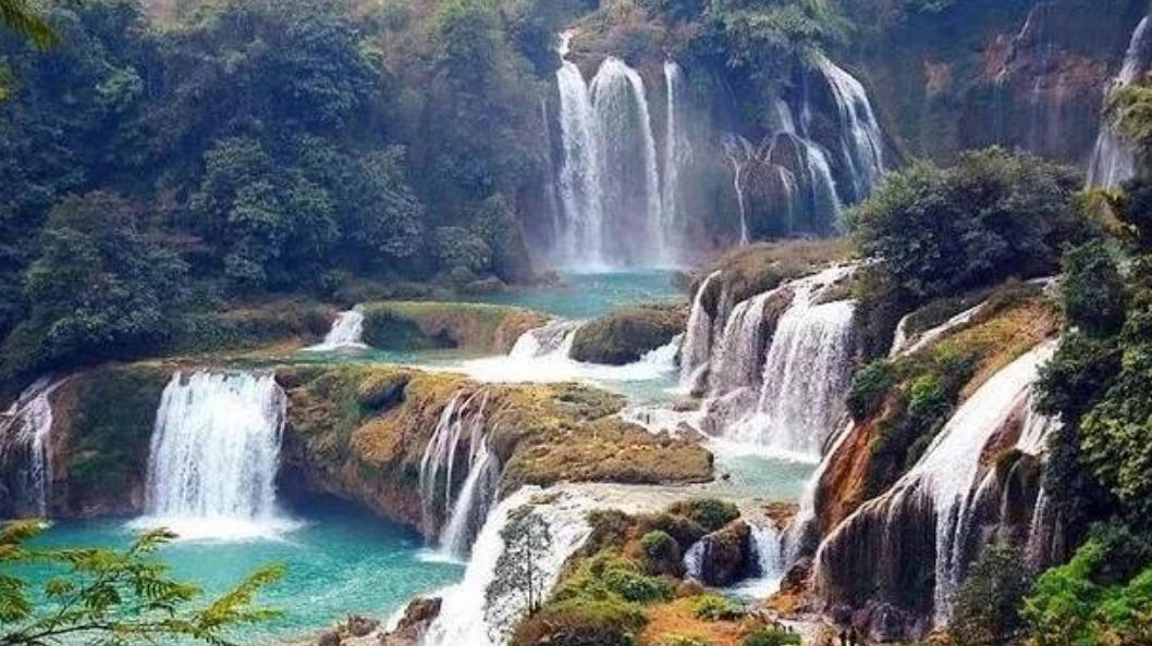 昙花一现指是什么生肖；解释作答落实解答