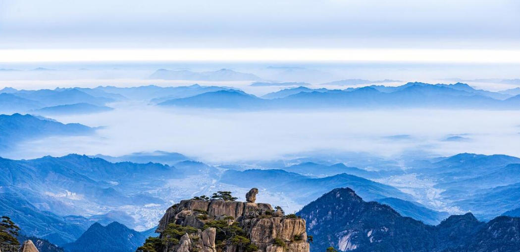 走，走天涯。一句猜：一发不可收（鸡飞狗跳）猜打一最佳准确生肖,解释落实词语释义