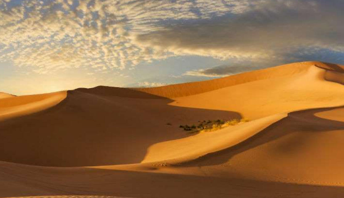 一木难支代表准确哪个生肖是指什么生肖,谜底作答解读