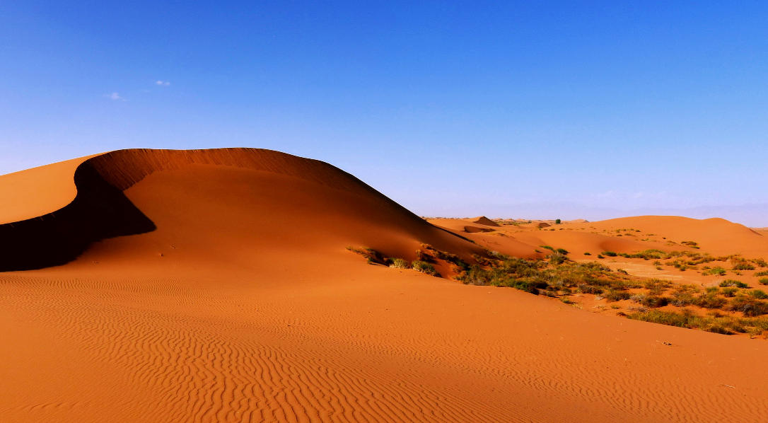 地尽其利是猜打一最佳精准哪个生肖,解释成语落实释义