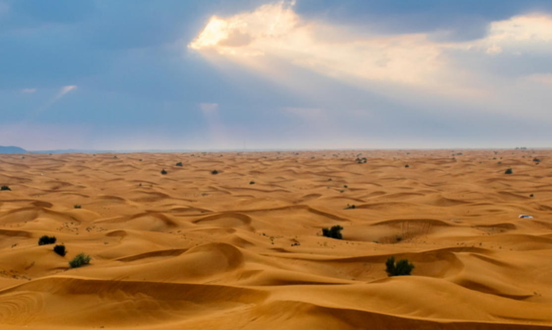 开山之祖是指代表准确哪一个什么生肖,最佳词语分析解释
