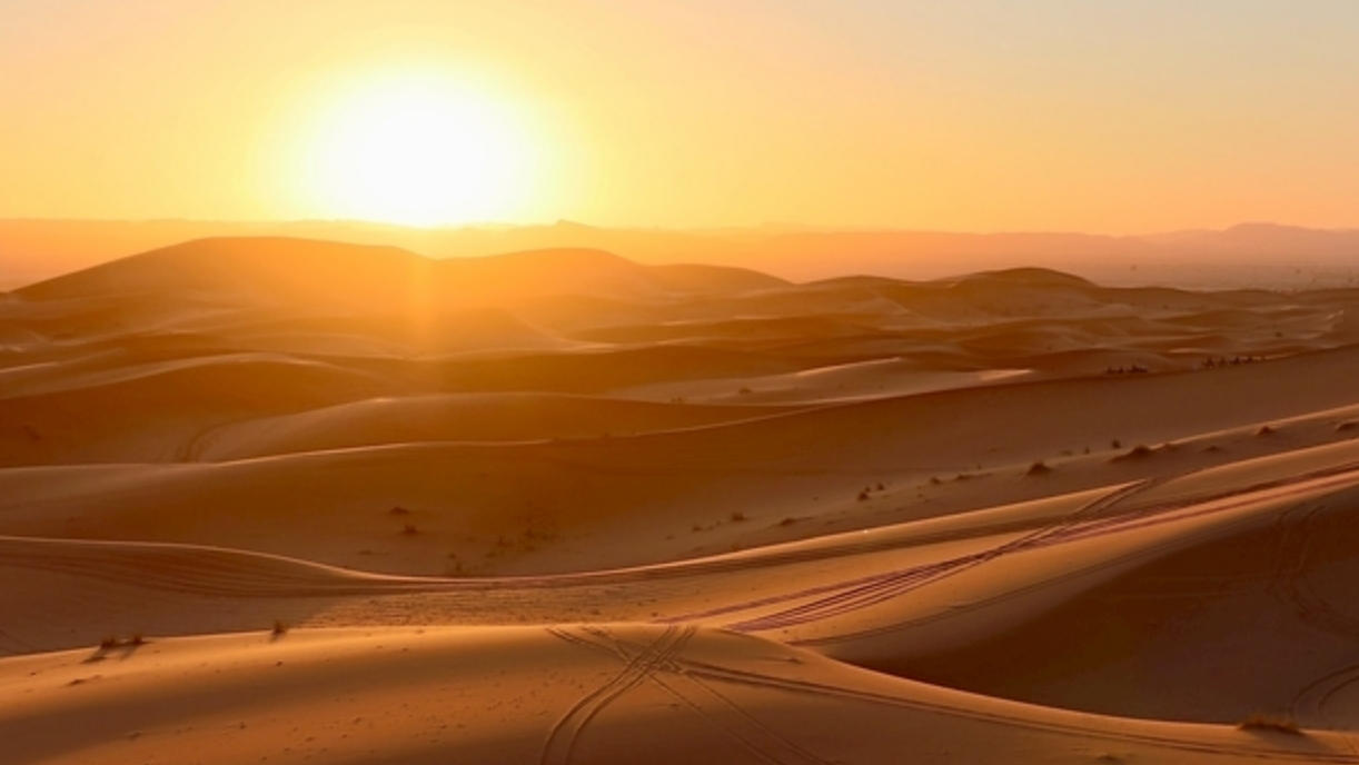 同室操戈指打代表最佳准确生肖,精选释义词语解释