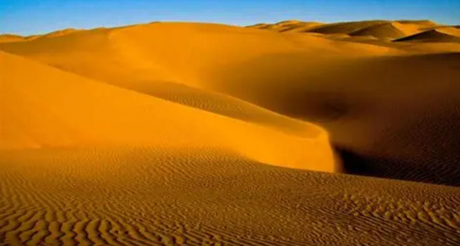 糖醋鱼，再来一打啤酒指是什么生肖，成语阐释策略解答