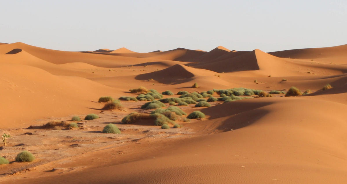单懑蛮力，并不可取。前途未卜，投机取巧打个最佳精准生肖,解释词语落实释义