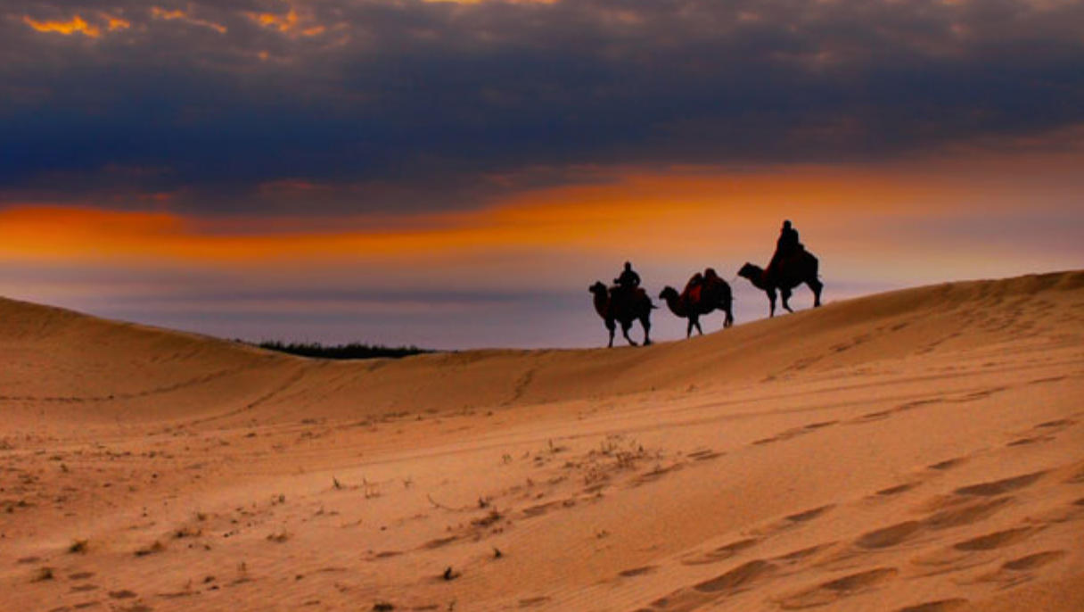 螳臂当车（三迭阳关）指代表打一生肖，成语落实解答分析