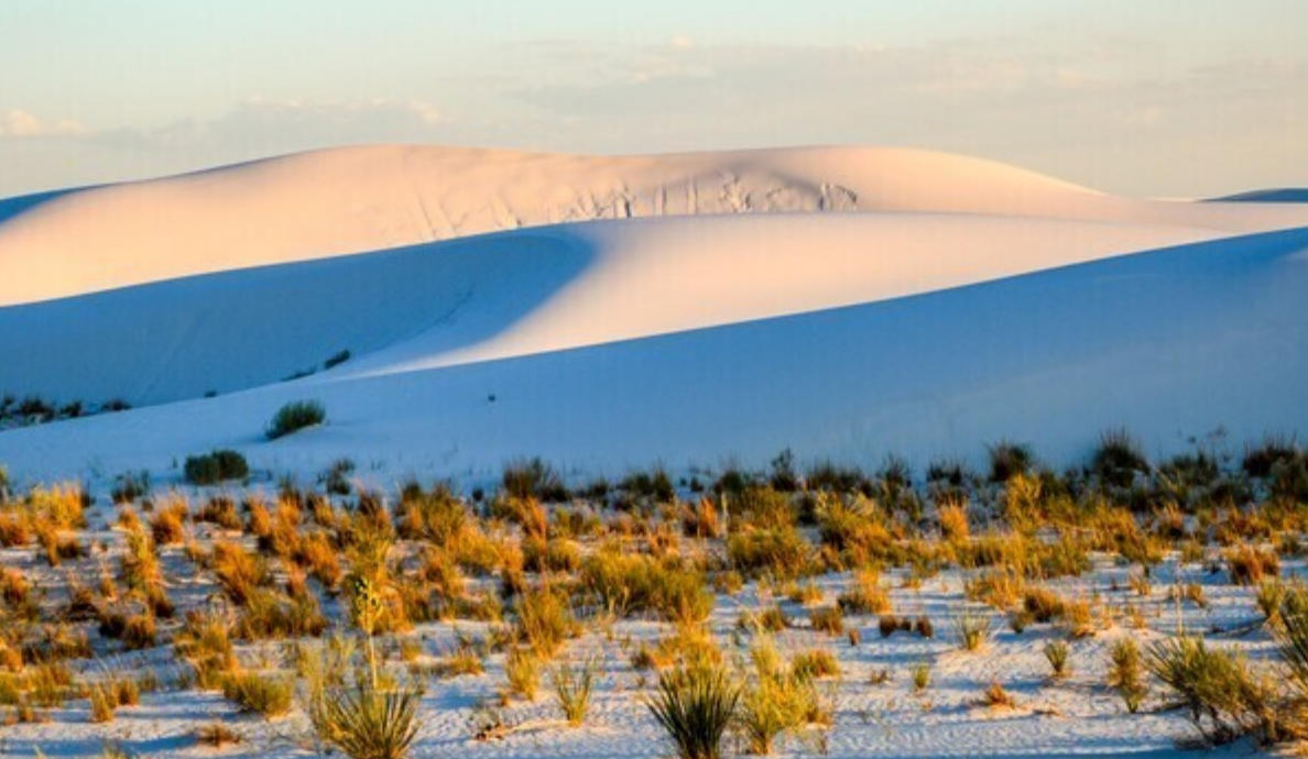 春雨和风湿画屏，初夏荷花别样红指一个生肖，词语释义普及指南