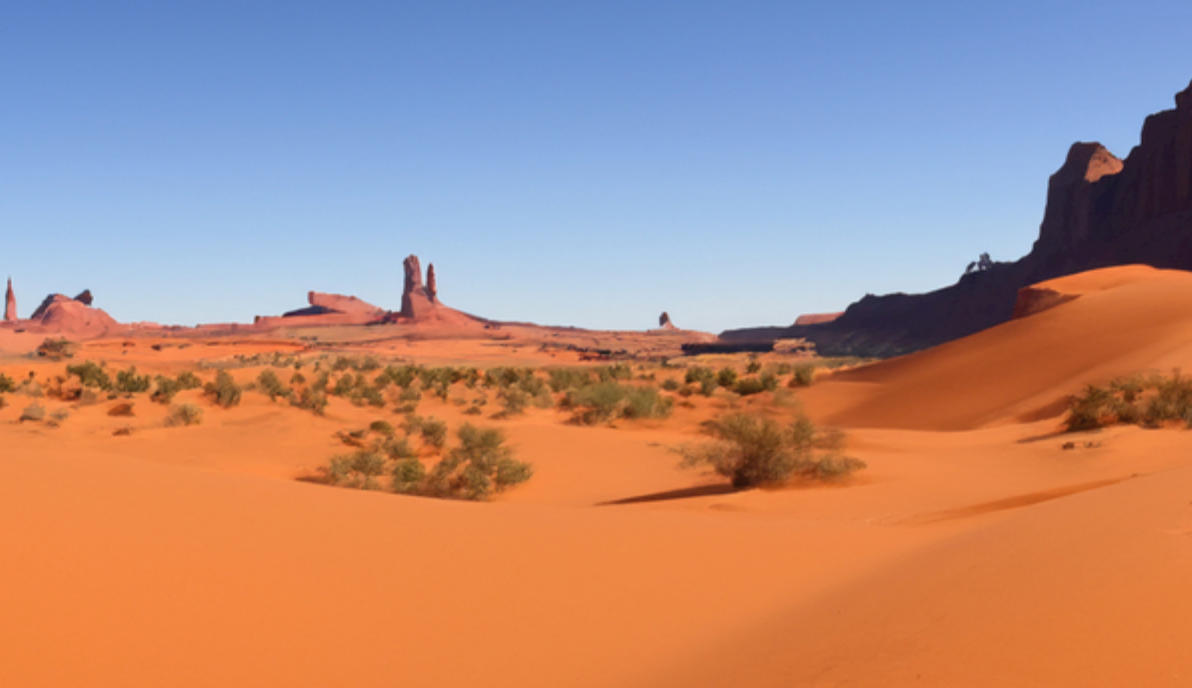 休错比当年谢安，乡老盘庚犯五瓯打个最佳精准哪个生肖,解释成语剖析释义