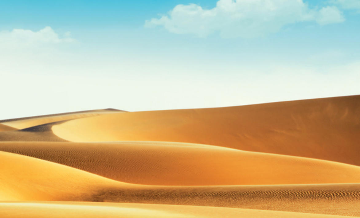 衰草远从烟际合，花乘流水传春信代表打最佳哪个生肖猜一释义成语精选解释