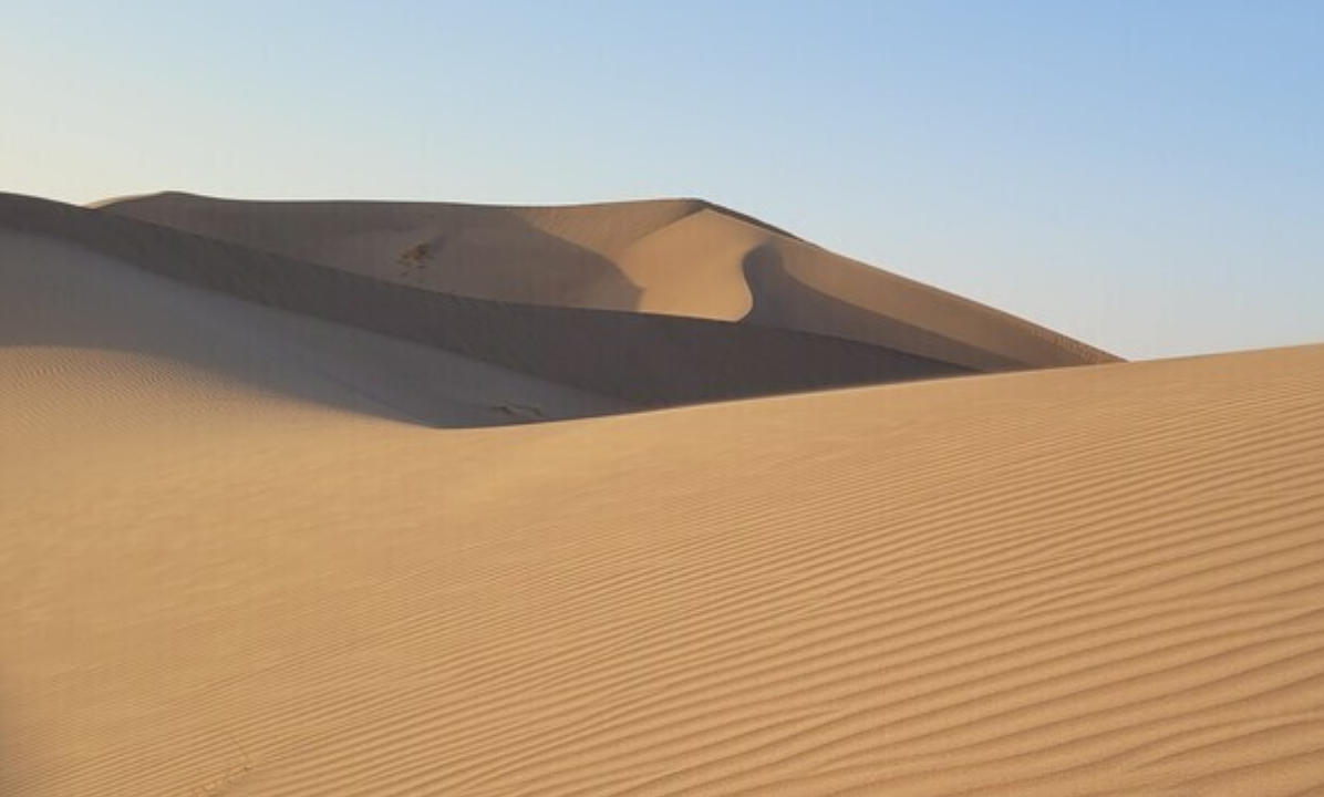名利在头，勤劳者得，旁观岂能分杯羹；曾动付出，谁有过问？各有前因莫羡人是什么生肖；解释作答落实解答