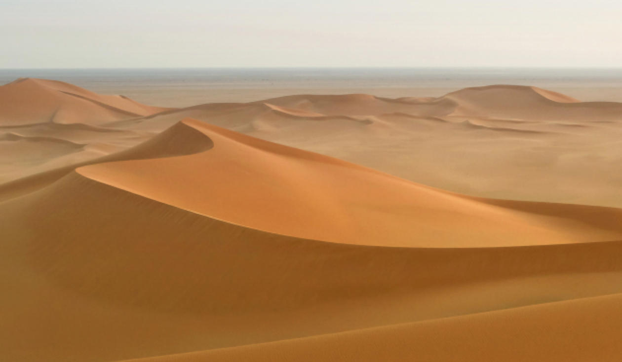 授人以柄指打最佳什么生肖,解释词语落实阐述释义