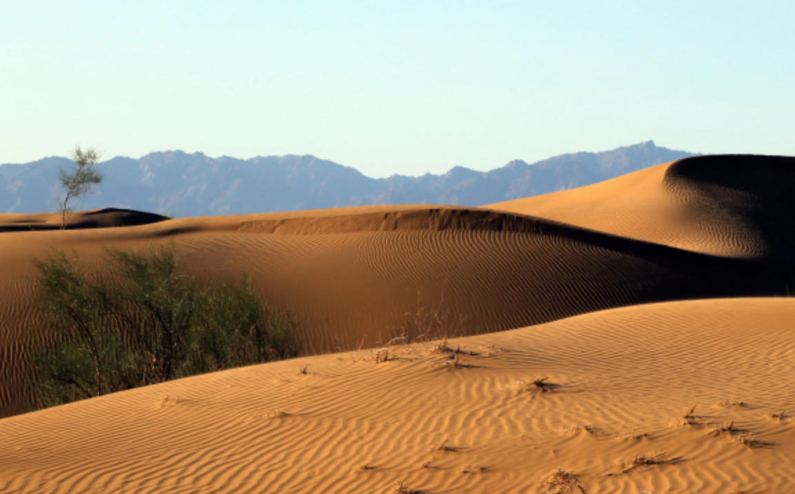猎犬自是山上丧，归根到底终须离指打一精准最佳生肖，释义成语精选解释