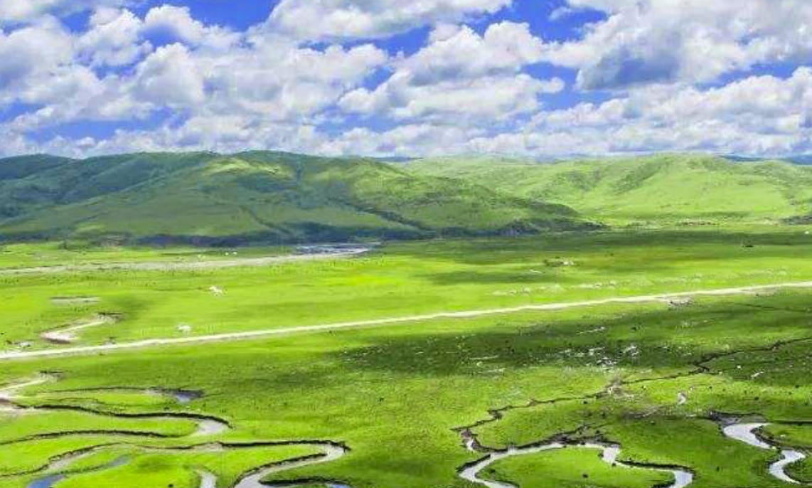 可以的，上来试试指代表什么生肖，答案成语释义解释