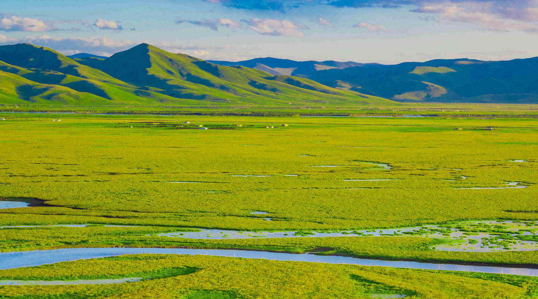 识荆恨晚代表什么准确生肖最佳释义独家解释