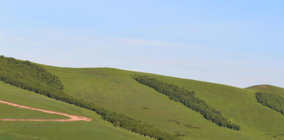 欲钱看高山上打锣打一生肖,释义最佳解释剖析