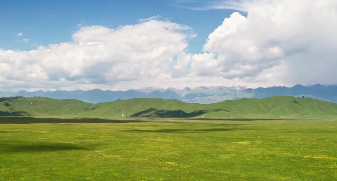 往往随风作雾雨，起祥风兮下甘露猜打一最佳什么准确生肖，揭晓最佳释义成语解释