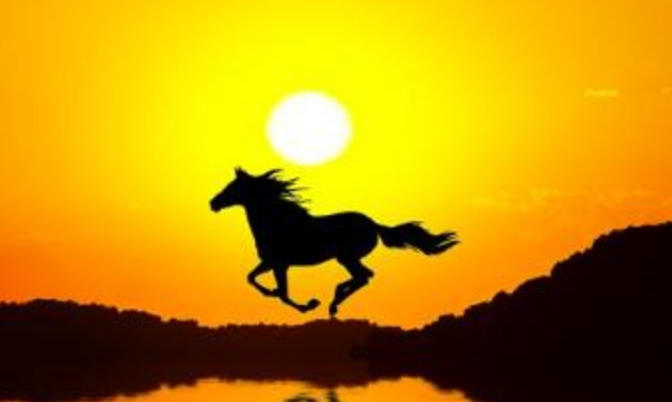 迂回曲折，故弄玄虚。闲闲云水任东西。昂藏七尺，不思进取。山木翛翛波浪深猜指代表哪个生肖释义词语精选解释