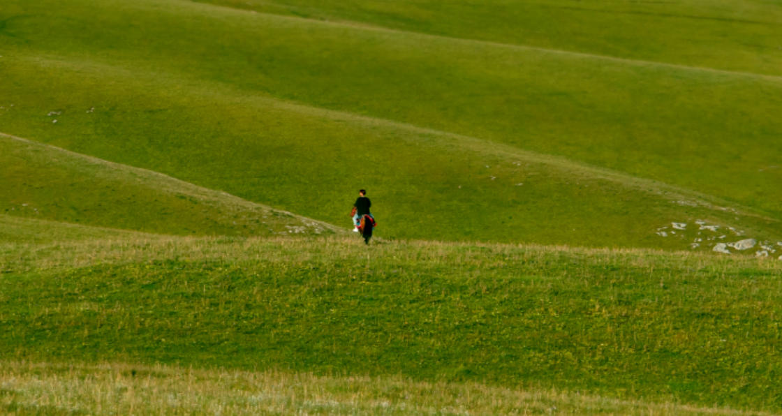 上下交困指代表哪个是什么生肖打一最佳准确生肖,释义作答成语解释赏析