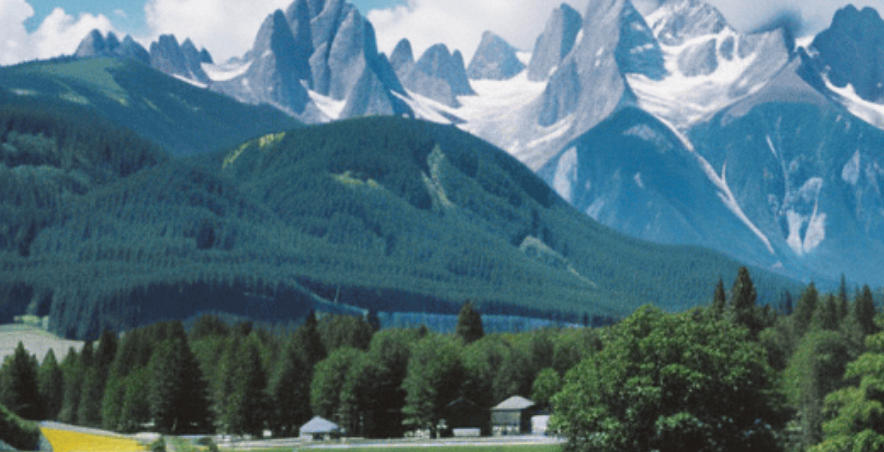 殊深轸念是指什么生肖，精选词语解释释义