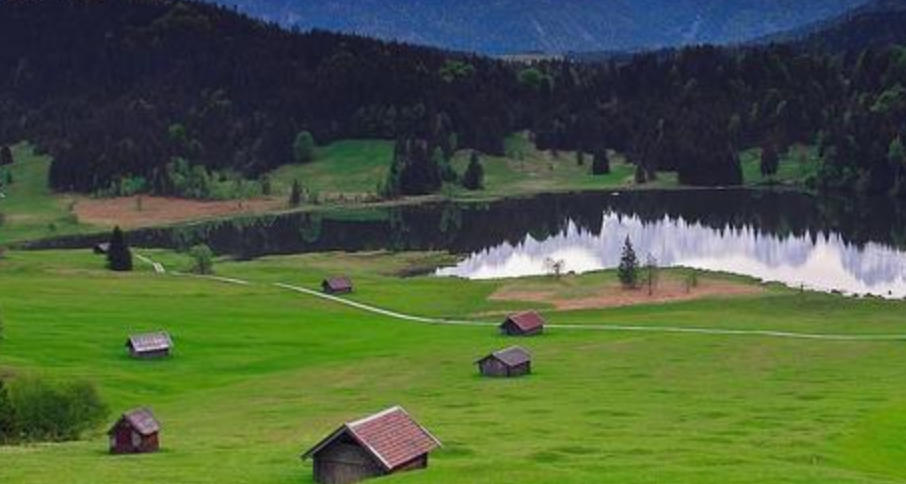 猎犬自是山上丧，归根到底终须离指打一精准最佳生肖，释义成语精选解释