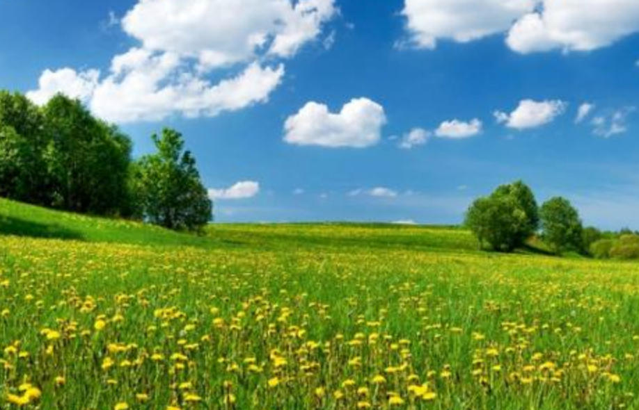 绿波春水湖光满指是什么生肖，深度剖析词语解读