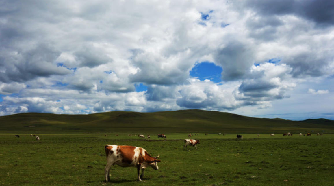 城绕青山龙暖水代表什么经典准确生肖最佳释义谜团解释
