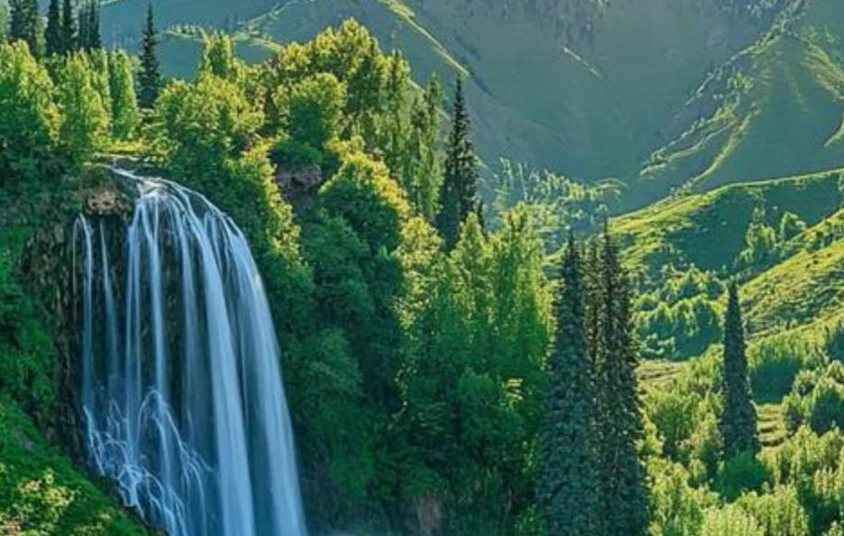 花天酒地是打猜哪一个最佳精准生肖,解释成语落实释义