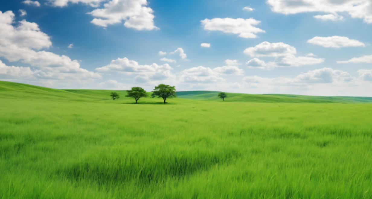 冷水烫猪打一个生肖，成语精解阐释解析