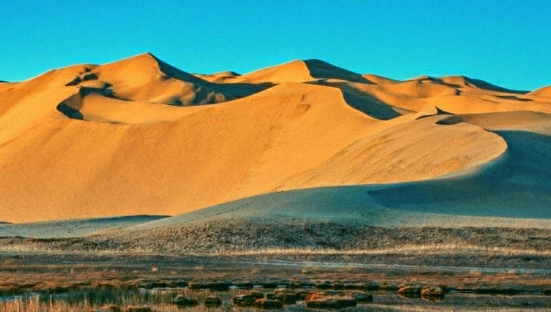 作作有芒指打一精确最佳生肖,完美释义词语解释