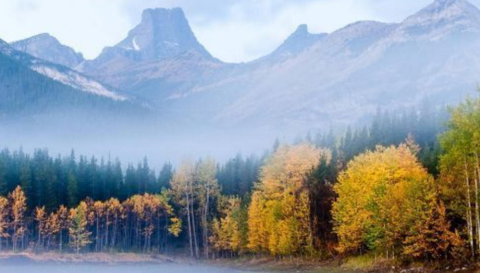 迂回曲折，故弄玄虚。昂藏七尺，不思进取猜指代表哪个生肖精选释义落实解释