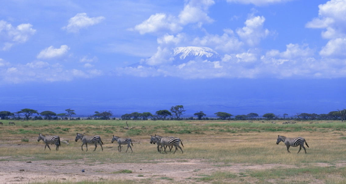 今期难过美人关，三八当狂气煞人。一五得志君留意，小注恰情乐开怀指打代表最佳什么生肖,释义成语精选解释