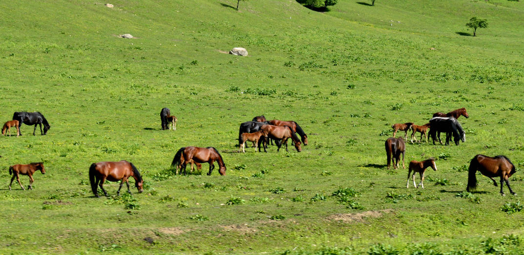 谜底精选作答:吉人天相八面财，蕙质兰心守月宫是指代表打哪个生肖,最佳分析成语解释