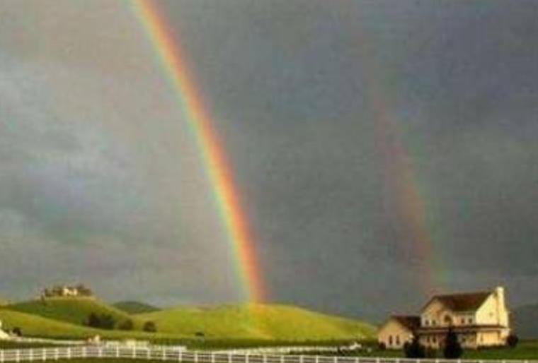 二添一齐月上追,子天丑地人寅出打一准确最佳生肖，词语解答释义解释