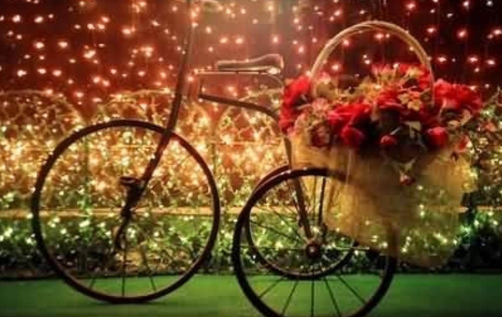 垂帘听政代表指什么生肖，精准生肖知识阐释