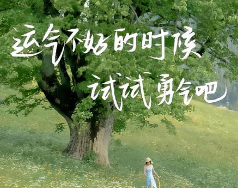 垂帘听政指是什么生肖动物,成语释义总结