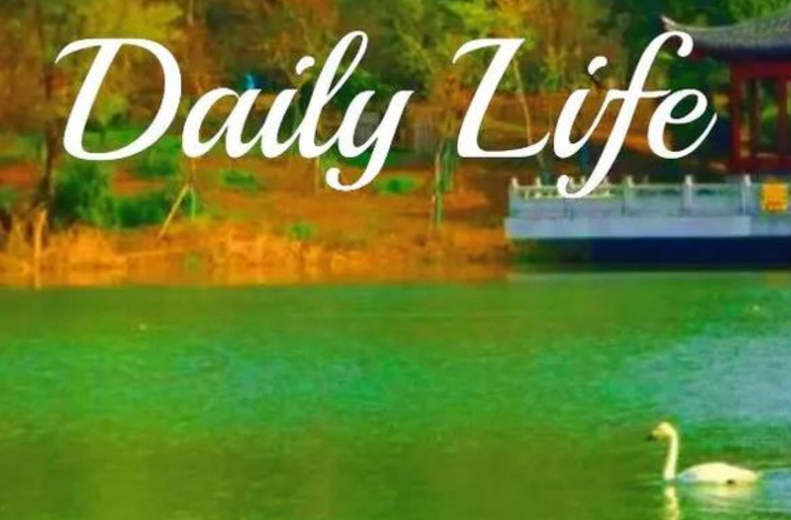 上下交困是什么生肖，重点词语精准释义