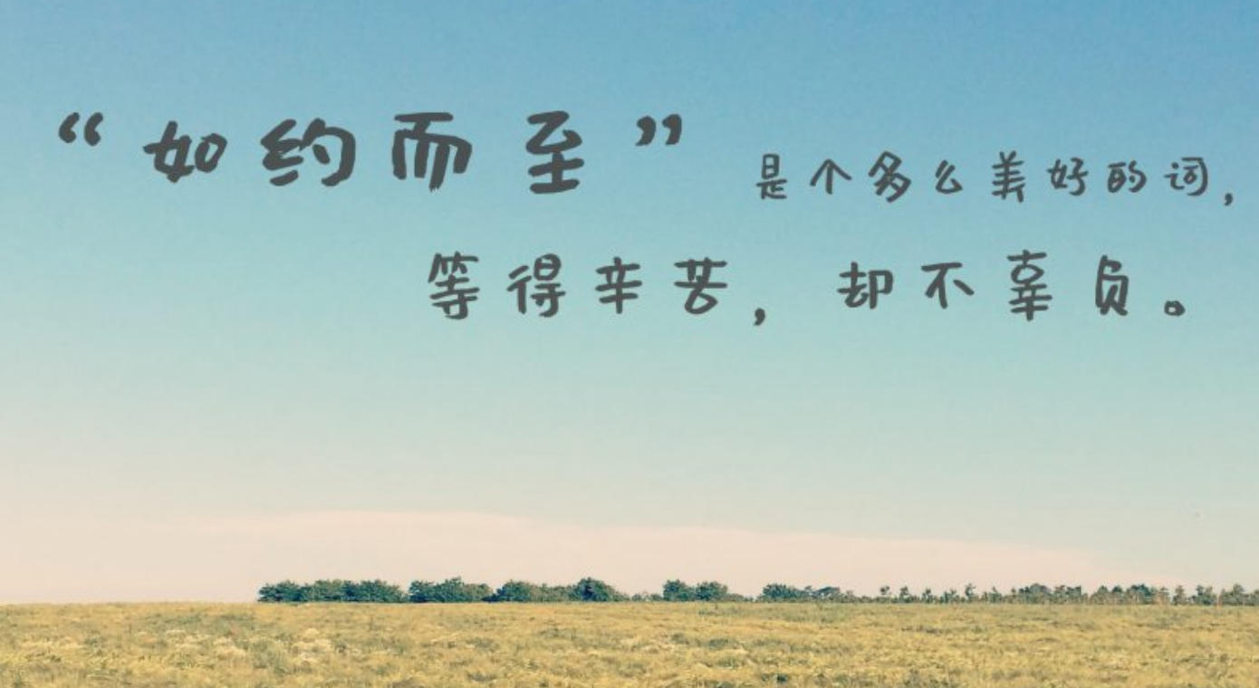 上下交困打一生肖——最佳精确生肖准确解析