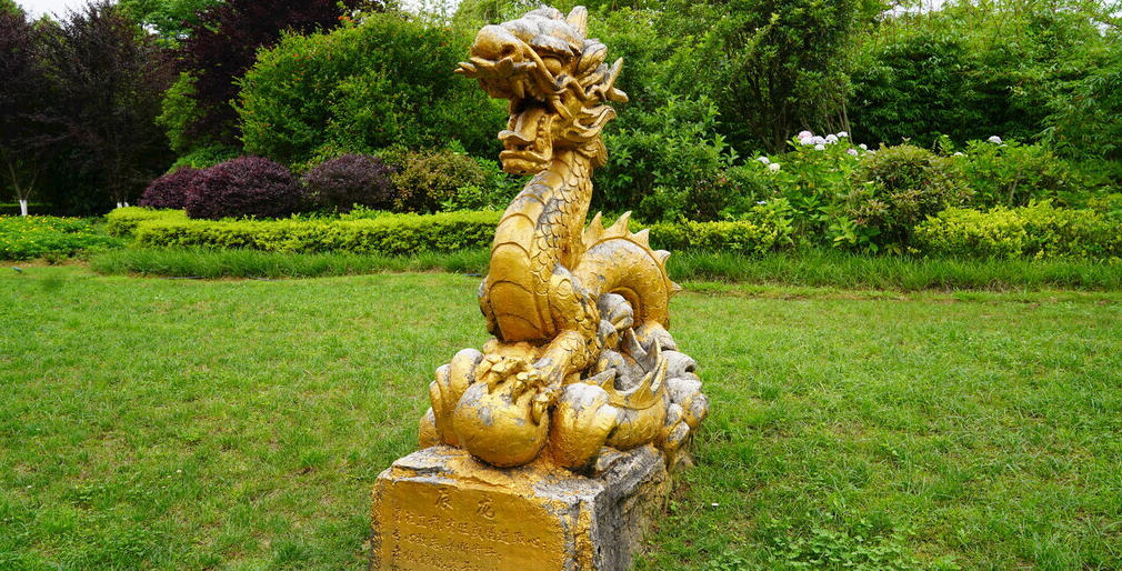 特马定双出本期，众生所归欢欢喜。 今期生肖找小姐，蓝蓝绿绿中特期代表打什么生肖,解释最佳成语释义